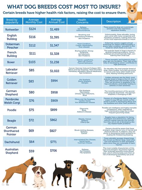 pet insurance for 8 year old dog